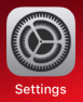 iPad iOS12 - Step 1 - Click Settings