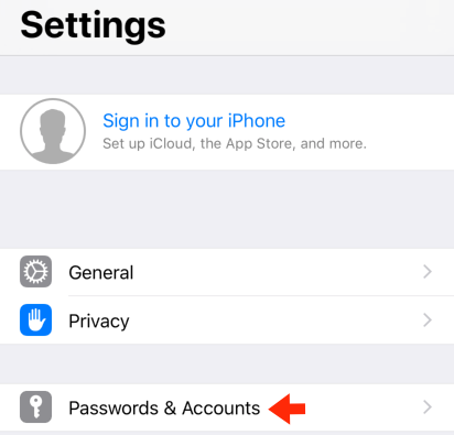 iPhone / iPod Touch iOS13 - Step 2 - Click 'Passwords & Accounts'